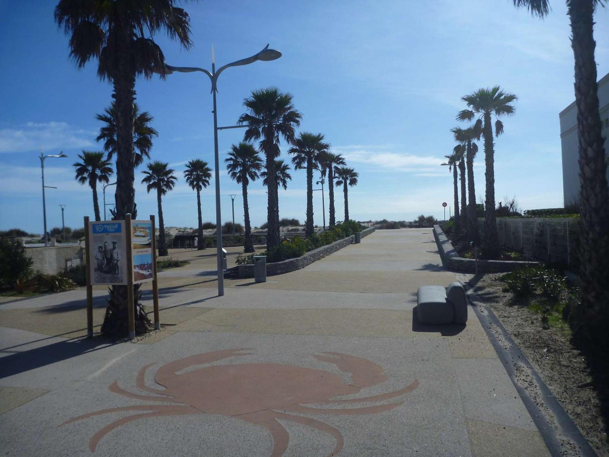 Appartement Ensoleille Avec Terrasse Et Parking, A 2 Pas De La Plage - Marseillan - Fr-1-387-169 Dış mekan fotoğraf